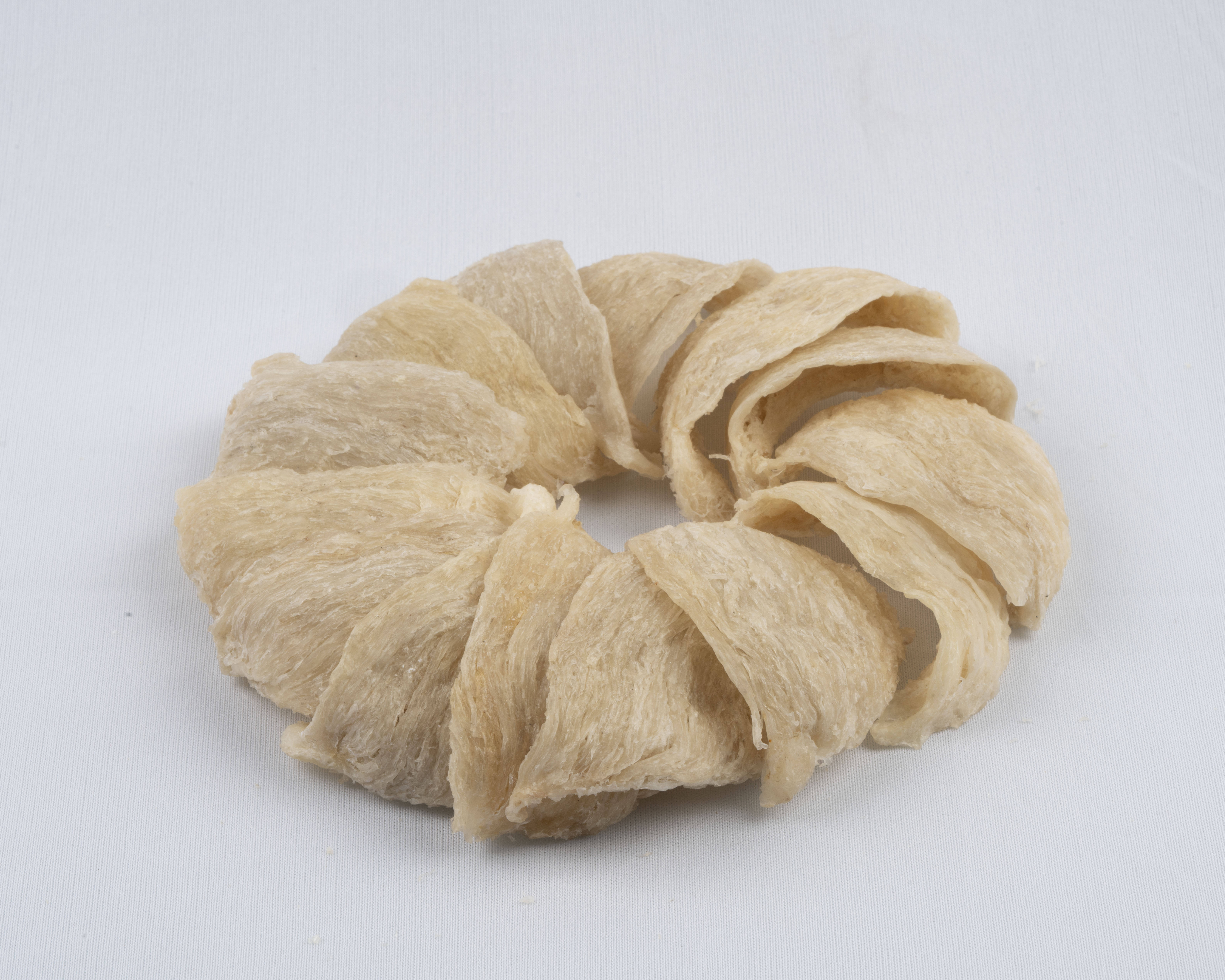 cuci sarang walet Palembang