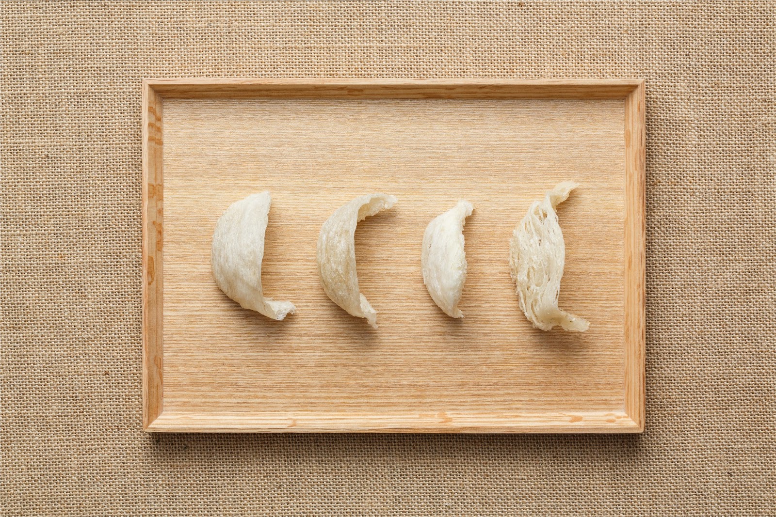 cuci sarang walet Cirebon