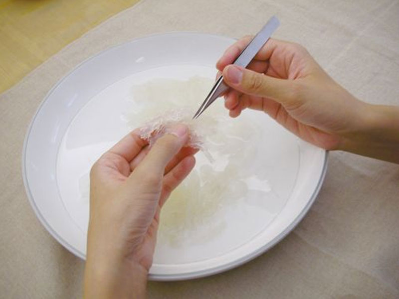 harga jasa cuci sarang walet Binjai