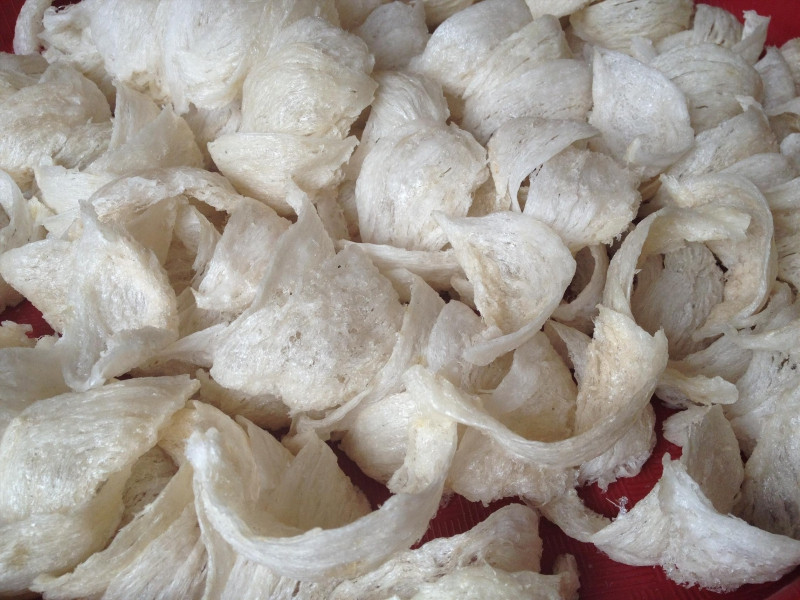 harga jasa cuci sarang walet Probolinggo