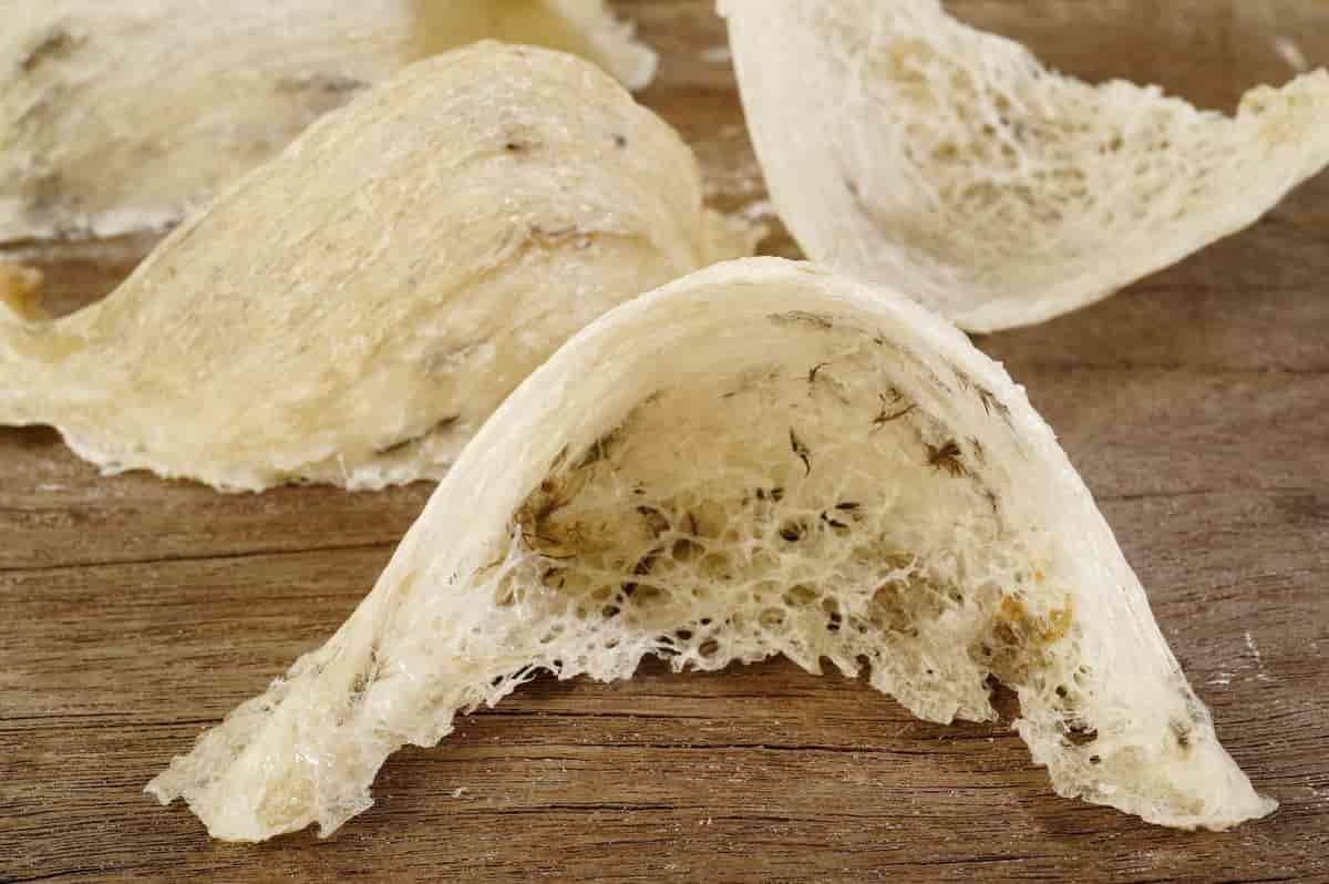 jasa cuci sarang walet Bukit Tinggi